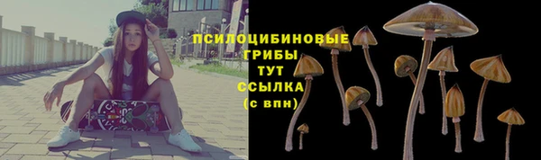 мяу мяу мука Верея