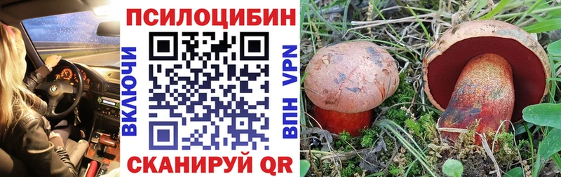 Псилоцибиновые грибы GOLDEN TEACHER  Отрадное 